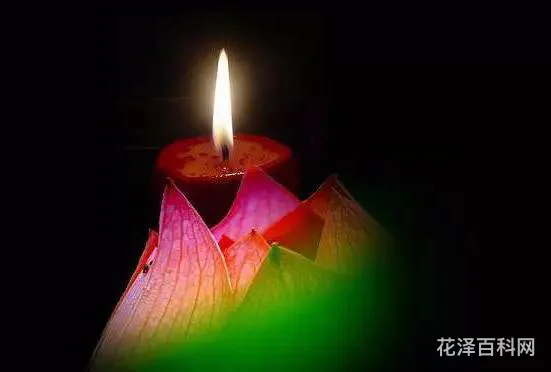 人生如梦幻泡影 一切有为法,如梦幻泡影,如露亦如电,应作如是观