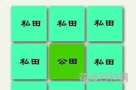 什么是井田制 井田制的名词解释