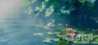 身无彩凤双飞翼上一句 身无双飞翼心有一点通的说说