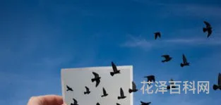 留学出国条件 大学怎么申请出国留学