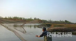 数罟不入洿池 数罟不入洿池的意思及全诗出处