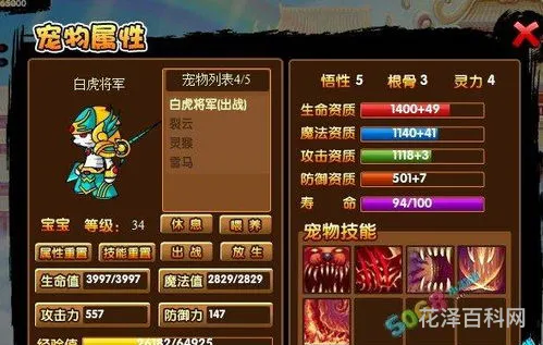 造梦西游3宠物怎么升级 造梦西游3宠物获取大全
