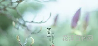即是节日又是节气 24节气中既是节日又是节气的