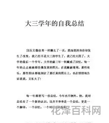 大三学年小结
