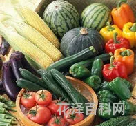绿色食品的含义，食品安全概念