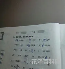 庞大的近义词是什么，庞大替换词