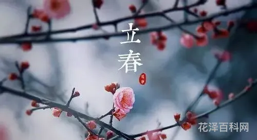 今年几点打春，2024年打春具体时间