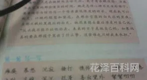例组词和拼音
