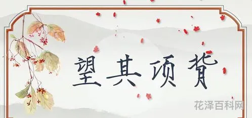 望其项背是什么意思，望其项背比喻赶不上