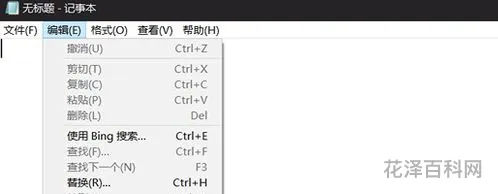 文本文档是什么