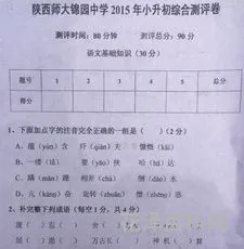 小学生综合素质评语 孩子的综合素质评价怎么写
