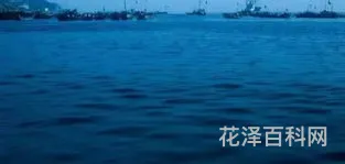每个人都期待下次遇到真爱 期待着明天遇到真爱是什么歌