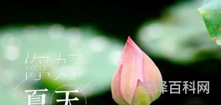 夏至什么意思