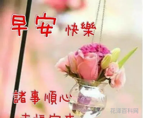 早上的暖心问候语，互相牵挂的早安祝福语