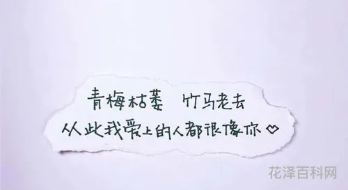 关于爱的句子