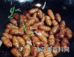 蚕蛹的家常做法 蚕蛹怎么做才好吃