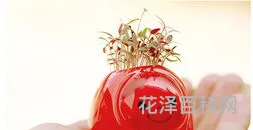 七夕送什么礼物