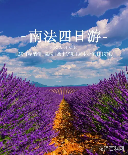 欢悦的反义词