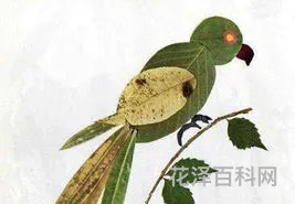 漂亮又简单的树叶贴画