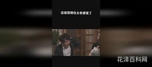 太顶了是什么意思