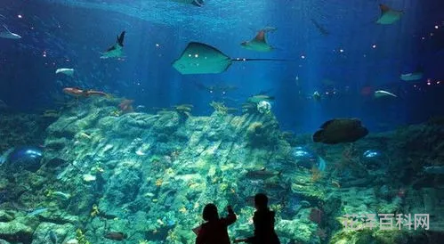深圳海底世界