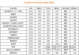 文科专业有哪些 文科和理科哪个压力大