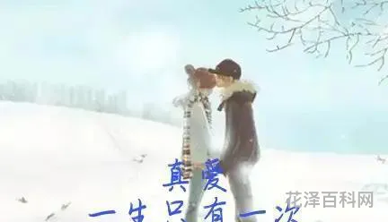 停不了的思念 无法控制的想念一个人