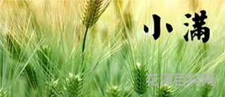 小满有什么寓意，取名字叫小满的寓意