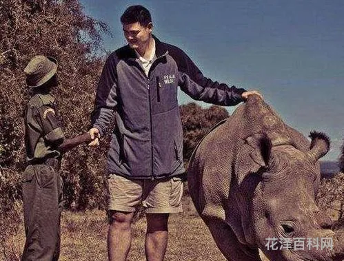 庞然大物是什么意思，庞然大物可以指人吗