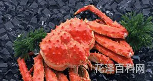 螃蟹怎么养几天不死