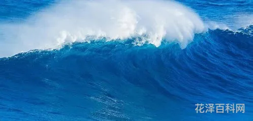 海水为什么是蓝色的，海水很清很蓝如何形容