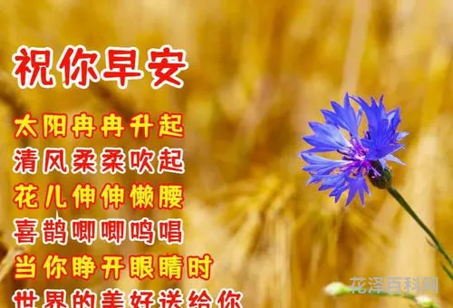 祝福朋友的话语暖心，发给朋友的暖心话短句