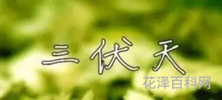 几月几号入伏 2021年三伏天时间表