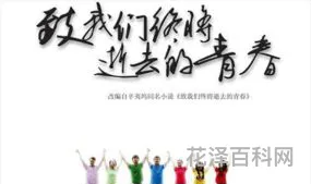 致青春的经典语句