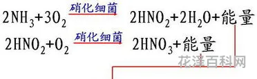整合作用是指