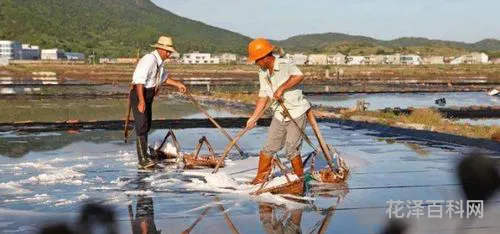 煮海歌中主要涉及什么人 蹈海典故与哪个人物有关
