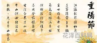重阳节有些什么风俗 重阳节必吃的6种食物