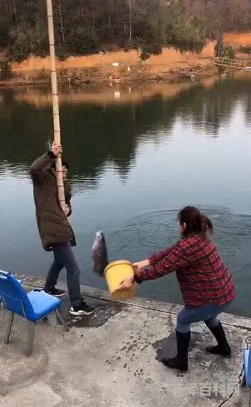 鱼塘被你承包了 眼前这片鱼塘我承包了江南