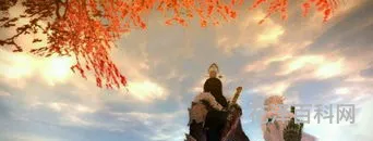 九阴真经无门派内功，九阴坐忘功20层之后哪里换