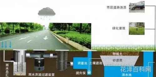 雨水收集处理 雨水收集后,可以怎样利用