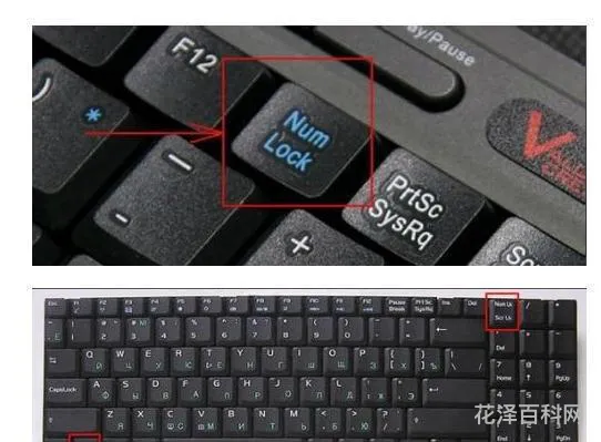 笔记本键盘不能用了