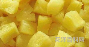 菠萝怎么吃最好，菠萝吃法小妙招