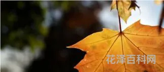 立秋是什么意思