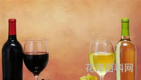 葡萄酒怎么开，无工具开红酒木塞的方法