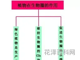 生物与环境的关系 7年级上册生物重点知识点归纳