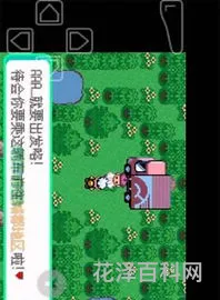 口袋妖怪金刚石
