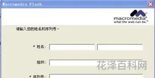 flash序列号