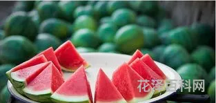 北方立秋吃什么，立秋必吃的30道菜
