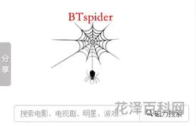蜘蛛搜索引擎，磁力蜘蛛种子搜索
