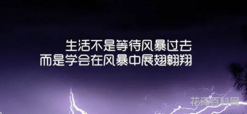 励志歌曲有哪些
